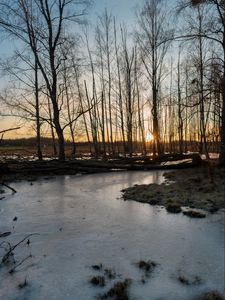 Preview wallpaper stream, ice, sunset, trees, nature