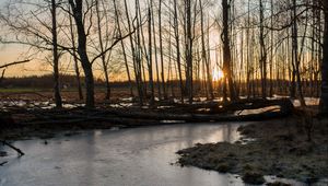 Preview wallpaper stream, ice, sunset, trees, nature