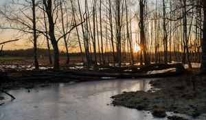 Preview wallpaper stream, ice, sunset, trees, nature