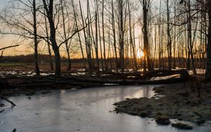 Preview wallpaper stream, ice, sunset, trees, nature