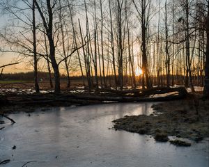Preview wallpaper stream, ice, sunset, trees, nature