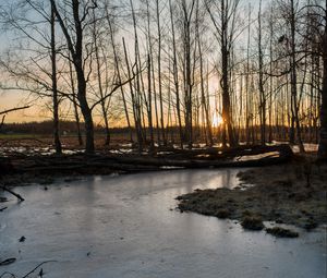 Preview wallpaper stream, ice, sunset, trees, nature