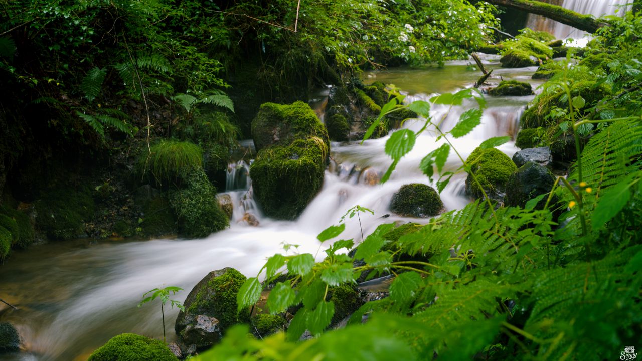 Wallpaper stream, landscape, stones, moss, plants