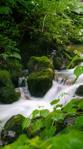 Preview wallpaper stream, landscape, stones, moss, plants