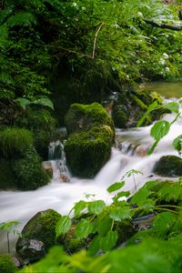 Preview wallpaper stream, landscape, stones, moss, plants