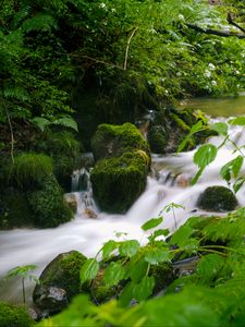 Preview wallpaper stream, landscape, stones, moss, plants