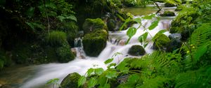 Preview wallpaper stream, landscape, stones, moss, plants
