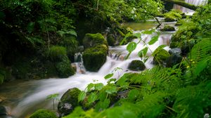 Preview wallpaper stream, landscape, stones, moss, plants