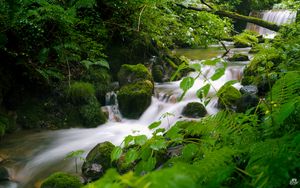 Preview wallpaper stream, landscape, stones, moss, plants