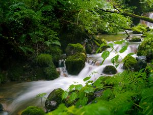 Preview wallpaper stream, landscape, stones, moss, plants