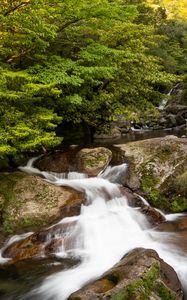 Preview wallpaper stream, landscape, stones, trees, nature