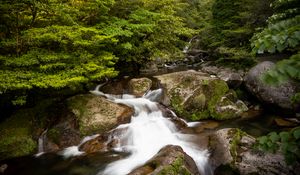 Preview wallpaper stream, landscape, stones, trees, nature