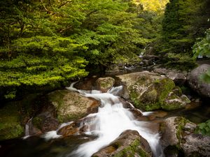 Preview wallpaper stream, landscape, stones, trees, nature