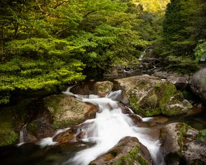 Preview wallpaper stream, landscape, stones, trees, nature