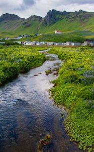 Preview wallpaper stream, meadow, flowers, houses, mountains, landscape