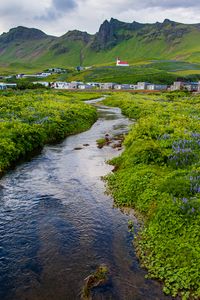 Preview wallpaper stream, meadow, flowers, houses, mountains, landscape