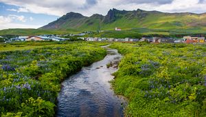 Preview wallpaper stream, meadow, flowers, houses, mountains, landscape