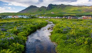 Preview wallpaper stream, meadow, flowers, houses, mountains, landscape