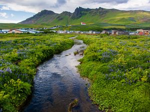 Preview wallpaper stream, meadow, flowers, houses, mountains, landscape