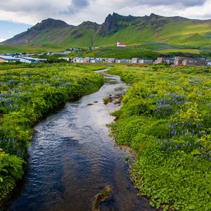 Preview wallpaper stream, meadow, flowers, houses, mountains, landscape