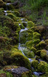 Preview wallpaper stream, moss, grass, nature