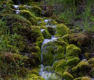 Preview wallpaper stream, moss, grass, nature