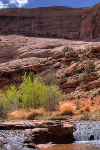 Preview wallpaper stream, mountain river, canyon, gorge, bushes