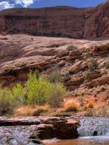 Preview wallpaper stream, mountain river, canyon, gorge, bushes