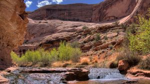 Preview wallpaper stream, mountain river, canyon, gorge, bushes