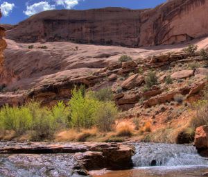 Preview wallpaper stream, mountain river, canyon, gorge, bushes