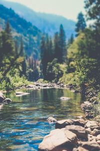 Preview wallpaper stream, mountain stream, mountains, landscape