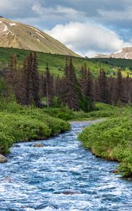 Preview wallpaper stream, mountains, trees, landscape, nature
