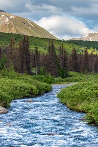 Preview wallpaper stream, mountains, trees, landscape, nature