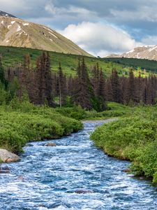 Preview wallpaper stream, mountains, trees, landscape, nature