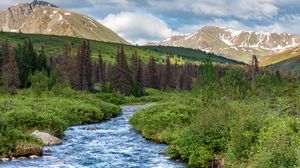 Preview wallpaper stream, mountains, trees, landscape, nature