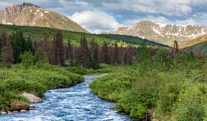 Preview wallpaper stream, mountains, trees, landscape, nature