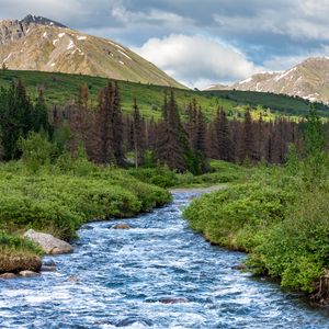 Preview wallpaper stream, mountains, trees, landscape, nature