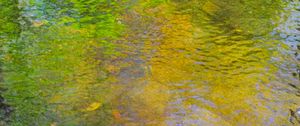 Preview wallpaper stream, pond, water, stones, reflection, nature