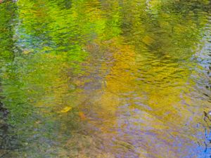 Preview wallpaper stream, pond, water, stones, reflection, nature