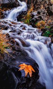 Preview wallpaper stream, river, leaf, grass, water