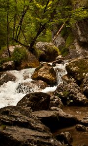 Preview wallpaper stream, river, stones, rocks, water, trees