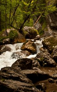 Preview wallpaper stream, river, stones, rocks, water, trees