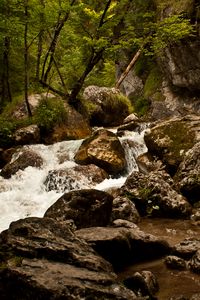 Preview wallpaper stream, river, stones, rocks, water, trees