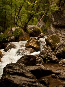 Preview wallpaper stream, river, stones, rocks, water, trees