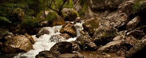 Preview wallpaper stream, river, stones, rocks, water, trees