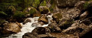 Preview wallpaper stream, river, stones, rocks, water, trees