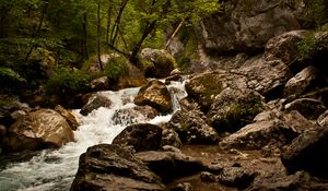 Preview wallpaper stream, river, stones, rocks, water, trees