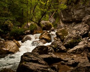 Preview wallpaper stream, river, stones, rocks, water, trees