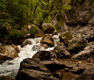 Preview wallpaper stream, river, stones, rocks, water, trees