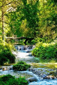 Preview wallpaper stream, river, streams, green, wood, light, trees, solarly, branches, cascades